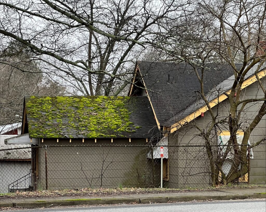 Roof in need of cleaning by Extra Mile in Bunker Hill, WV