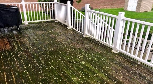 Dirty deck in need of pressure washing in Bunker Hill, WV