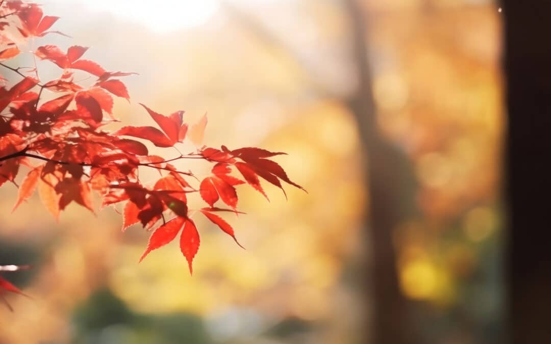 Fall is Here and the Outdoor Activities Have Begun
