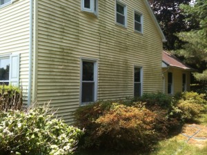 Dirty vinyl siding on a Martinsburg, WV home