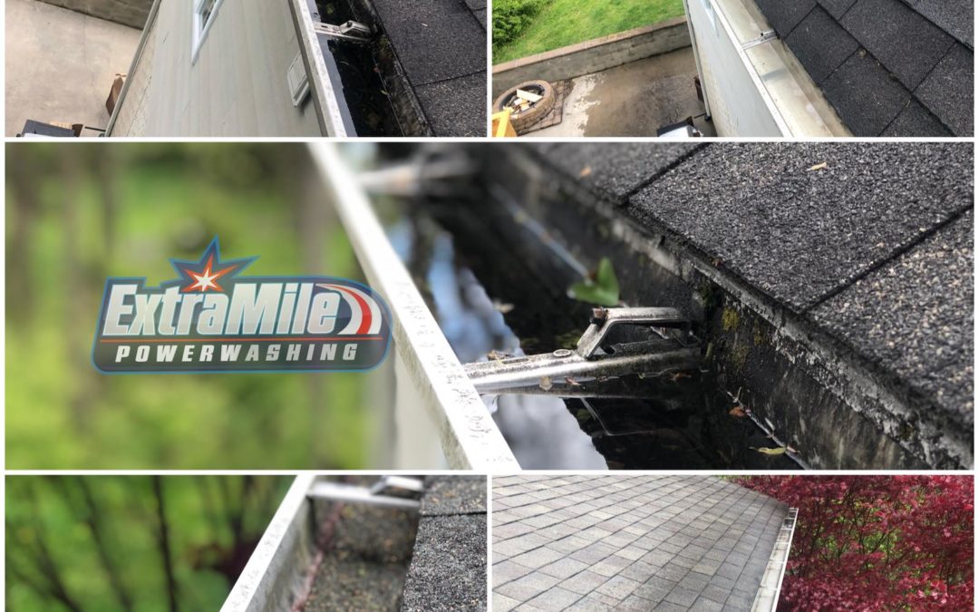 June Storms Looking for Clogged Gutters