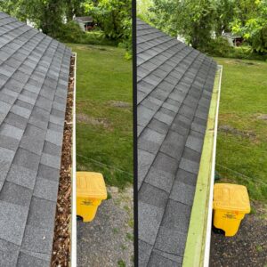 Clogged gutters in early June. Extra Mile Powerwashing will clean them before July if you contact their Bunker Hill, WV office soon.