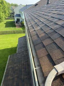Clogged gutters in early June. Extra Mile Powerwashing will clean them before July if you contact their Bunker Hill, WV office soon.
