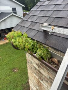 Clogged gutters in early June. Extra Mile Powerwashing will clean them before July if you contact their Bunker Hill, WV office soon.