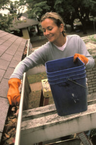 DIY gutter cleaning vs hiring a professional